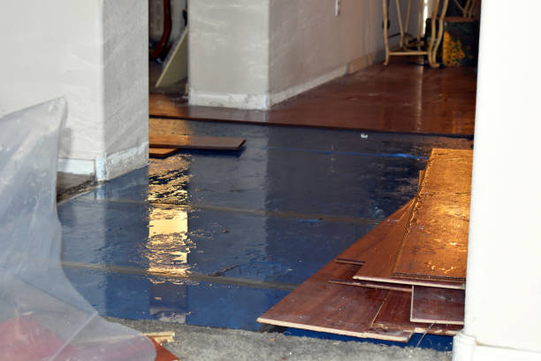 Professional Basement Flood Cleanup technician working in Junction City, WI