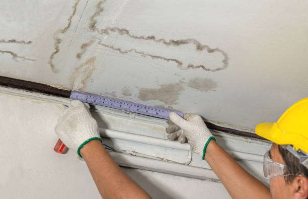 Reliable Basement Flood Cleanup contractor in Junction City, WI by Hirex Water Damage